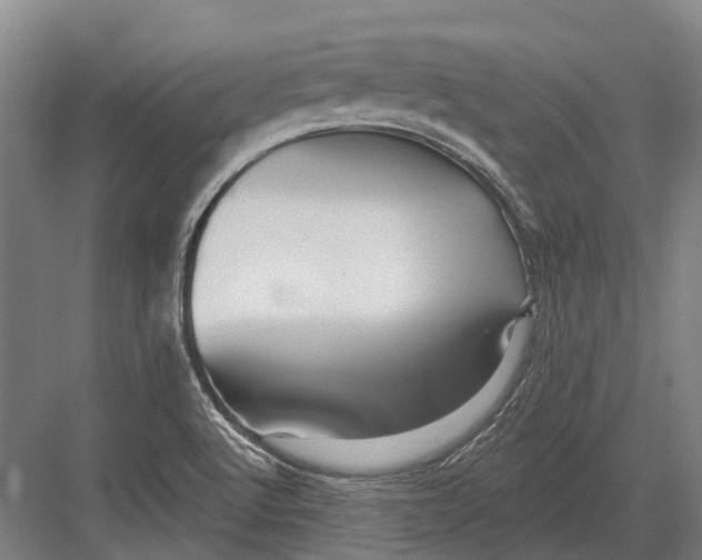 X0000082731512200702161854