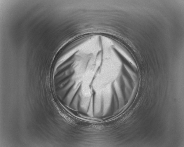 X0000082731513200702161854