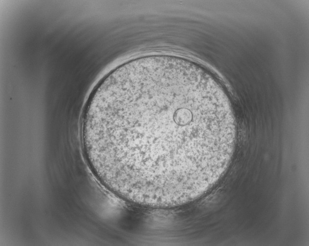 X0000082731514200702161854