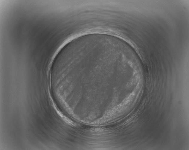 X0000082731515200702161854