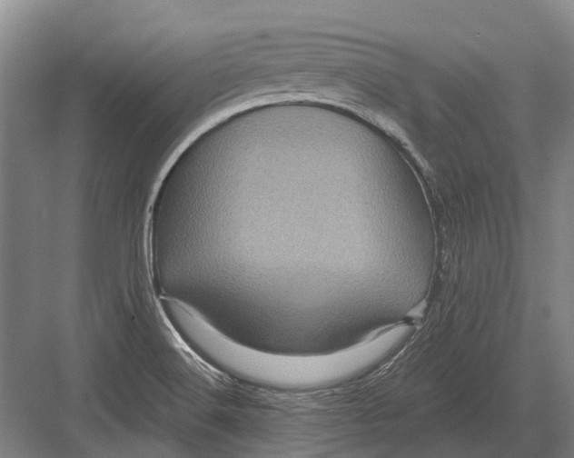 X0000082731516200702161854