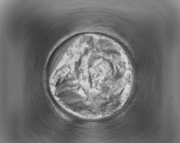 X0000082731517200702161854