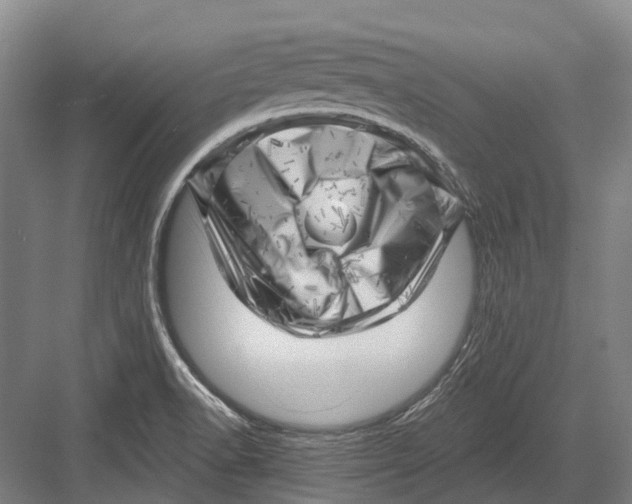 X0000082731518200702161854