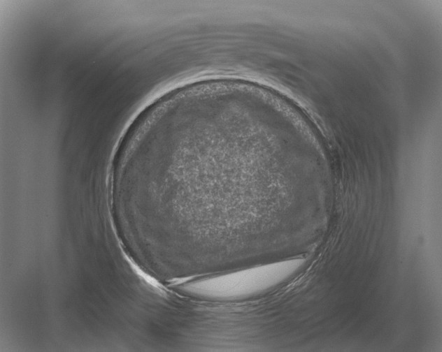 X0000082731519200702161854