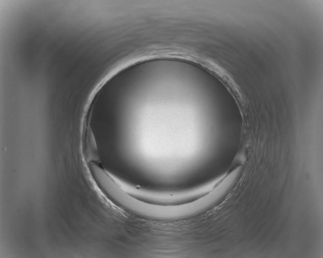 X0000082731520200702161854