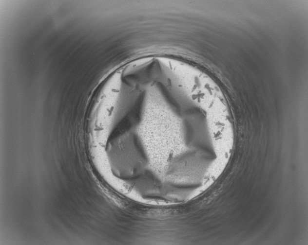 X0000082731521200702161854