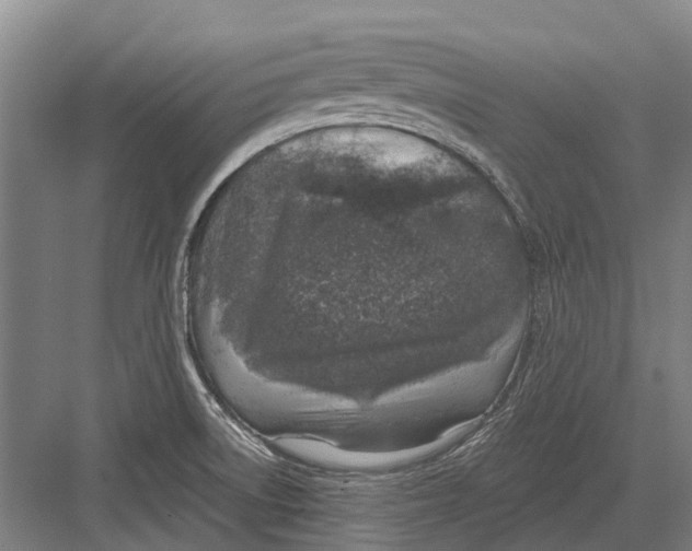 X0000082731522200702161854