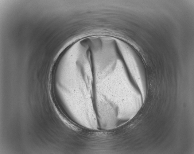 X0000082731523200702161854