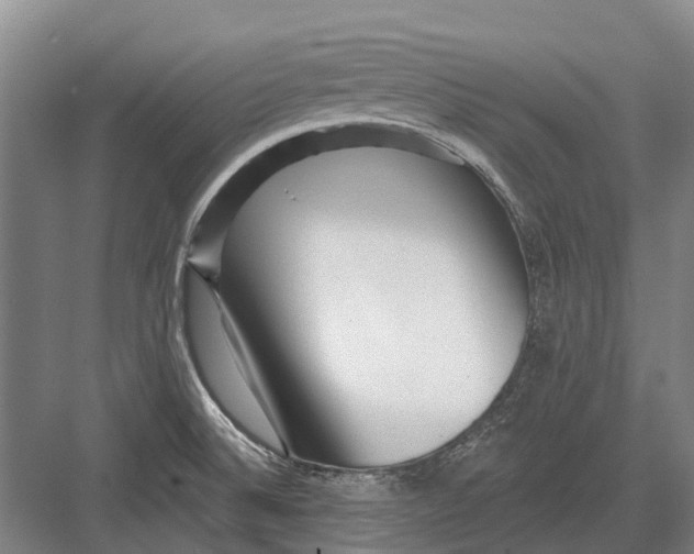 X0000082731524200702161854