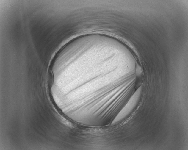 X0000082731525200702161854