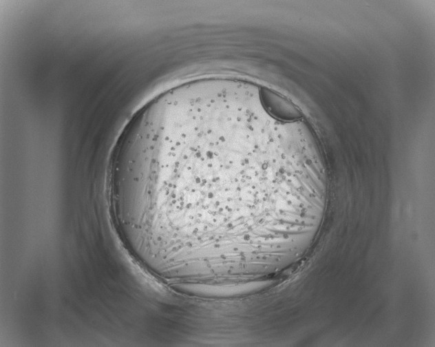 X0000082731526200702161854