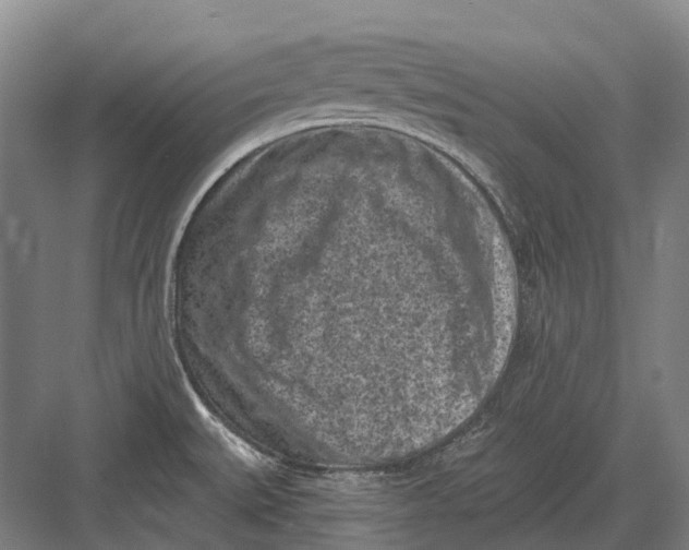 X0000082731527200702161854