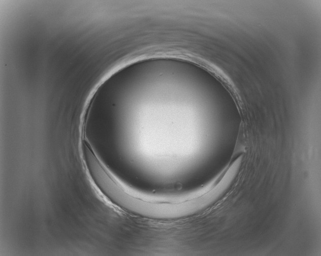 X0000082731528200702161854