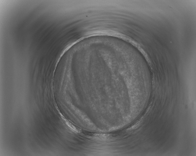 X0000082731529200702161854