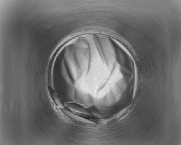 X0000082731530200702161854