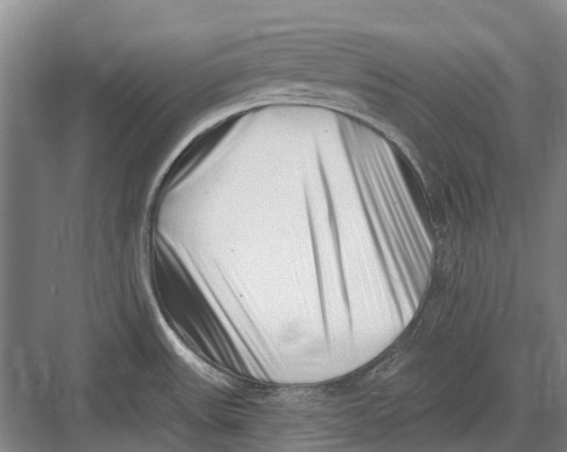 X0000082731531200702161854