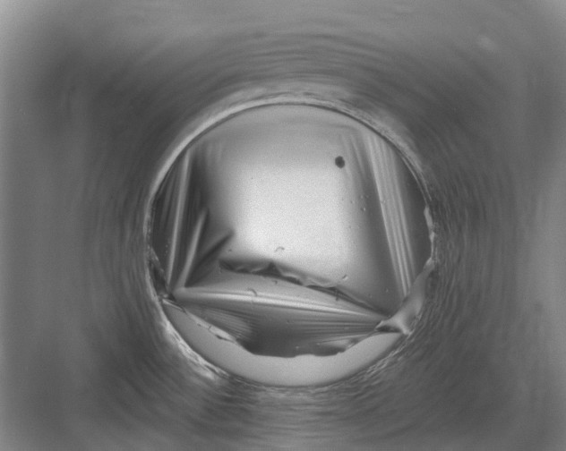 X0000082731532200702161854