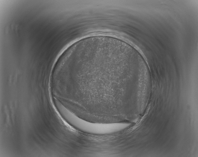 X0000082731533200702161854