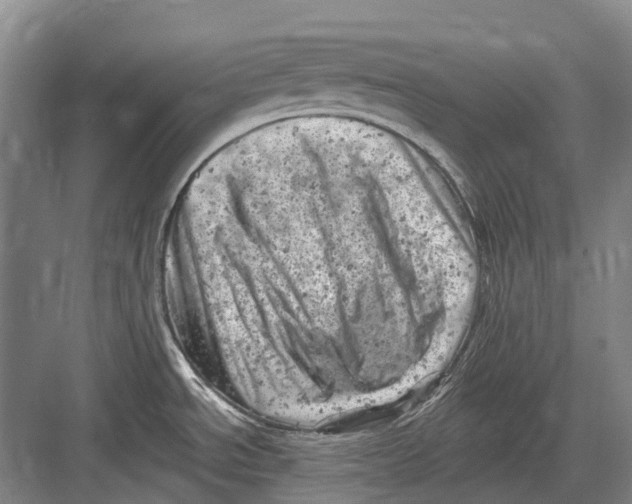 X0000082731534200702161854