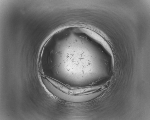 X0000082731536200702161854