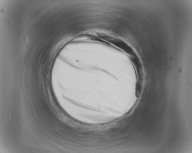 X0000082730001200702232359