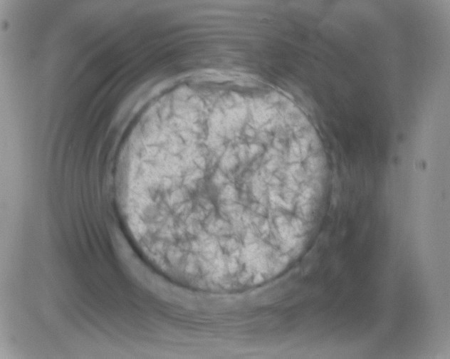 X0000082730002200702232359