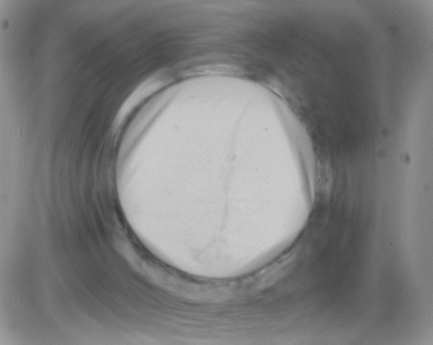 X0000082730004200702232359