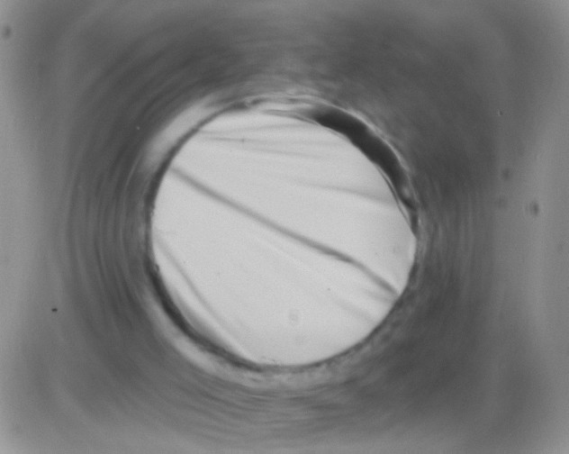 X0000082730005200702232359