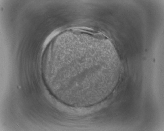 X0000082730006200702232359