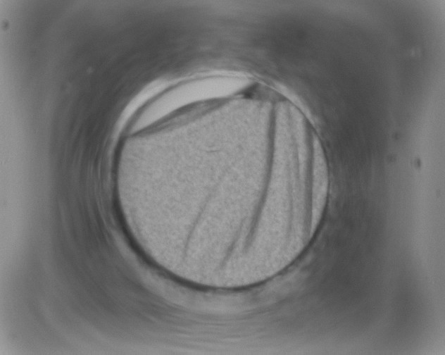 X0000082730008200702232359