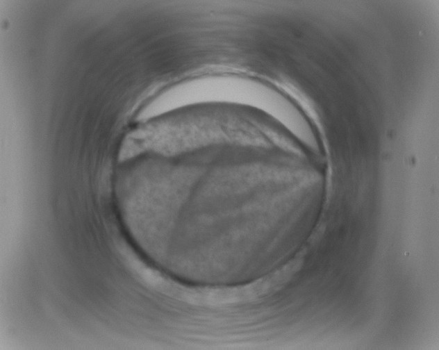 X0000082730009200702232359