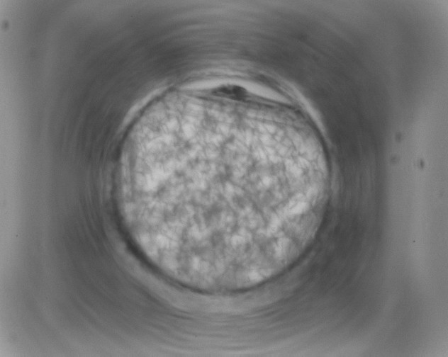 X0000082730010200702232359