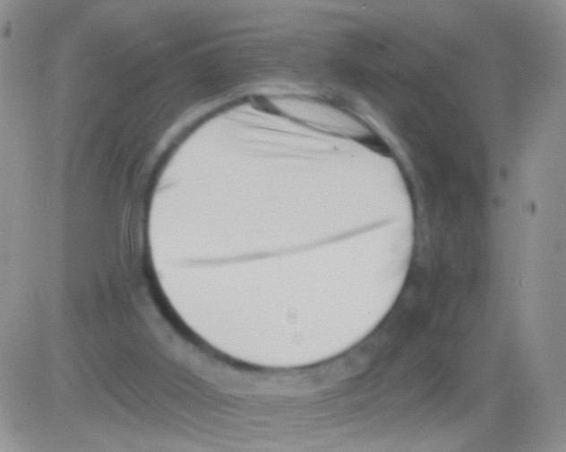 X0000082730011200702232359