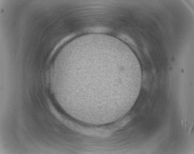 X0000082730012200702232359