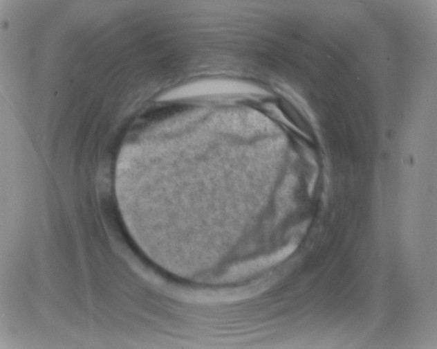 X0000082730017200702232359