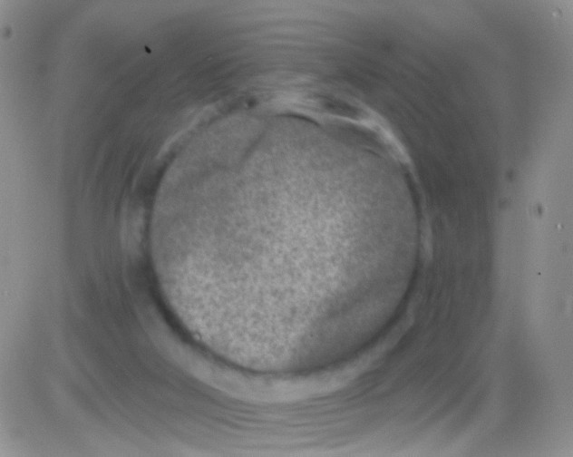 X0000082730018200702232359