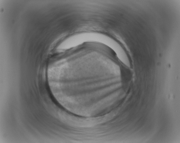 X0000082730019200702232359