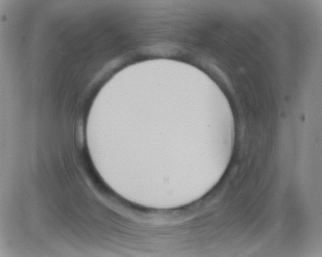 X0000082730020200702232359