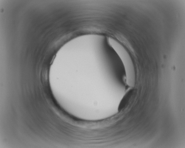 X0000082730021200702232358