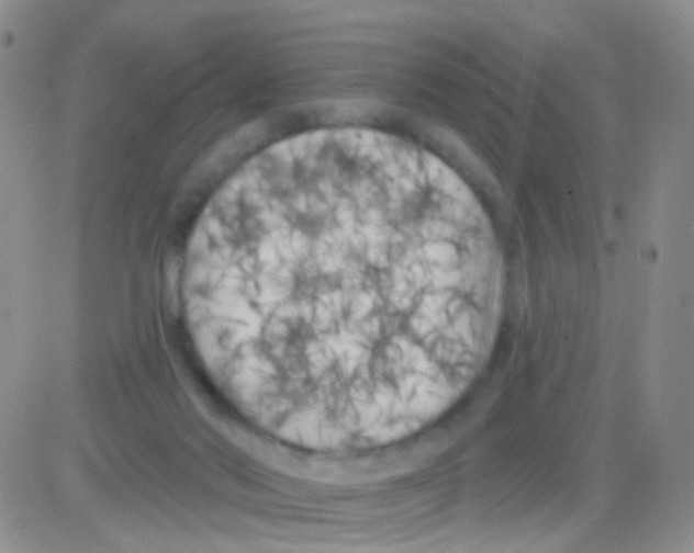 X0000082730022200702232358