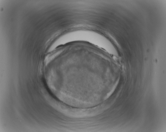 X0000082730023200702232358