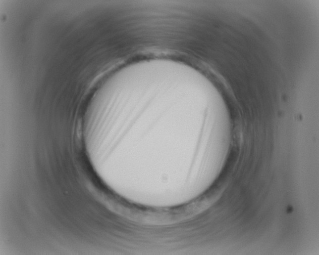 X0000082730024200702232358