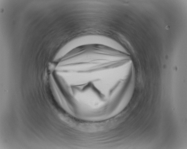 X0000082730025200702232358