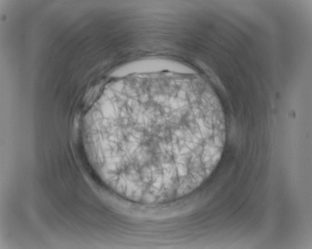 X0000082730026200702232358