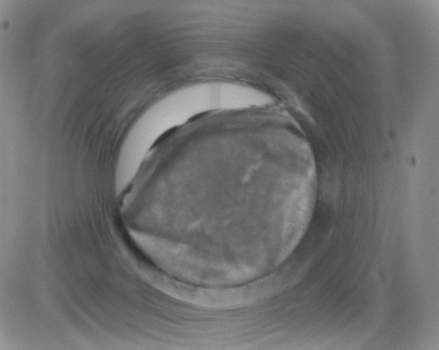 X0000082730027200702232358