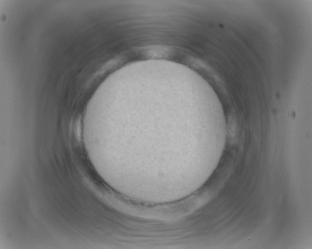 X0000082730028200702232358