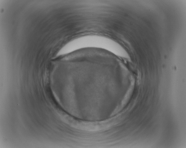 X0000082730029200702232358