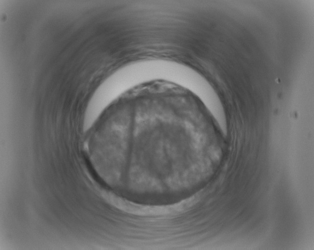 X0000082730031200702232358