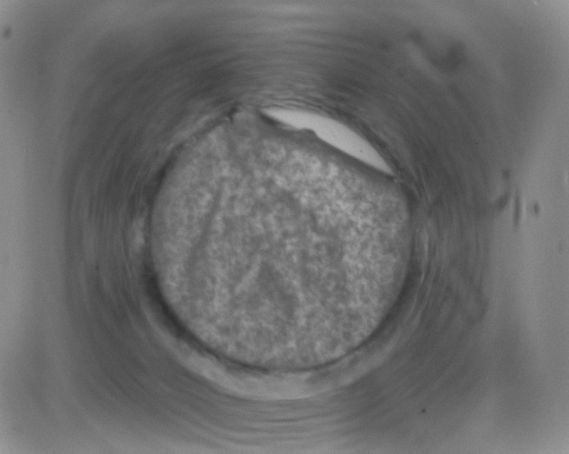 X0000082730032200702232358