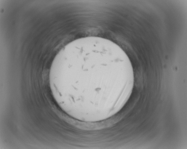 X0000082730034200702232358